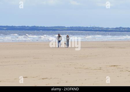 Hundeschlittenläufer gehen an den Strand, um das sonnige Wetter zu genießen, Fraisthorpe Beach, East Yorkshire, Großbritannien Stockfoto