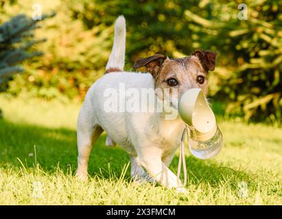Durstiger Hund, der an heißen Sommertagen eine Wasserflasche im Mund hält Stockfoto