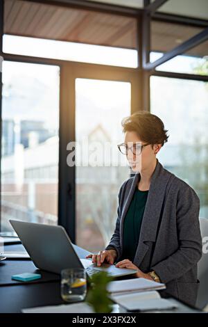 Rechtsanwalt, Anwaltskanzlei und Frau mit Laptop für die rechtliche Planung, Überprüfung von Richtlinien oder Feedback zum Visumstatus im Amt. Anwalt, Einwanderungsbehörde und Person mit Stockfoto