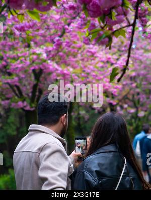 Cankaya, Ankara, Türkei - 20. April 2024: Im Frühling genießen die Menschen Sakura-Bäume im Dikmen-Tal. Stockfoto