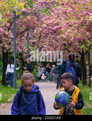Cankaya, Ankara, Türkei - 20. April 2024: Im Frühling genießen die Menschen Sakura-Bäume im Dikmen-Tal. Stockfoto
