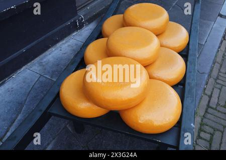 Nahaufnahme von ganzen runden Käsesorten zum Verkauf auf dem Marktplatz in Delft, Niederlande Stockfoto