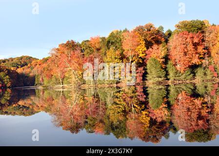 Die Herbstfarbe umgibt Buys Mountain Lake, Bays Mountain Park, Kingsport, Tennessee, am frühen Morgen. Perfekte Reflexion schwingt auf der Oberfläche von Stockfoto