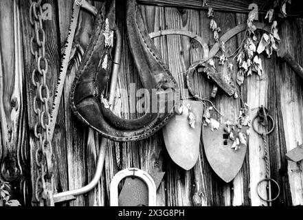 Das Schwarzweiß-Bild zeigt verschiedene Werkzeuge und landwirtschaftliche Geräte, die an einer alten Holzwand hängen. Stockfoto