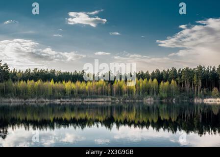 Schöne Landschaftsansicht auf den See im Wald Stockfoto