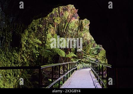 Holzbrücke am Eingang der Lavenröhre im Hawaii Volcanos National Park. Stockfoto