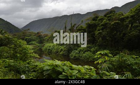 Grünes Tal in Hilo, Hawaii Stockfoto