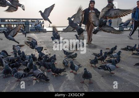 Vögel, die eine Frau am Strand von Kadikoy fressen und umherfliegen. Ein Überlauf des Wüstenstaubs betraf einen großen Teil der Türkei, einschließlich Istanbul, wo die Sichtverhältnisse und die Luftqualität abnahmen. Stockfoto