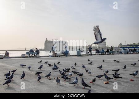 Istanbul, Türkei. April 2024. Vögel, die am Strand von Kadikoy mit dem Bahnhof Haydarpasa im Hintergrund beim Essen gesehen werden. Ein Überlauf des Wüstenstaubs betraf einen großen Teil der Türkei, einschließlich Istanbul, wo die Sichtverhältnisse und die Luftqualität abnahmen. (Foto: Onur Dogman/SOPA Images/SIPA USA) Credit: SIPA USA/Alamy Live News Stockfoto