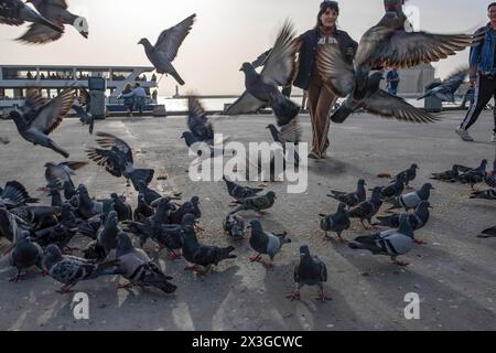 Istanbul, Türkei. April 2024. Vögel, die eine Frau am Strand von Kadikoy fressen und umherfliegen. Ein Überlauf des Wüstenstaubs betraf einen großen Teil der Türkei, einschließlich Istanbul, wo die Sichtverhältnisse und die Luftqualität abnahmen. (Foto: Onur Dogman/SOPA Images/SIPA USA) Credit: SIPA USA/Alamy Live News Stockfoto