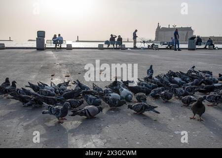 Istanbul, Türkei. April 2024. Vögel, die am Strand von Kadikoy mit dem Bahnhof Haydarpasa im Hintergrund beim Essen gesehen werden. Ein Überlauf des Wüstenstaubs betraf einen großen Teil der Türkei, einschließlich Istanbul, wo die Sichtverhältnisse und die Luftqualität abnahmen. (Foto: Onur Dogman/SOPA Images/SIPA USA) Credit: SIPA USA/Alamy Live News Stockfoto