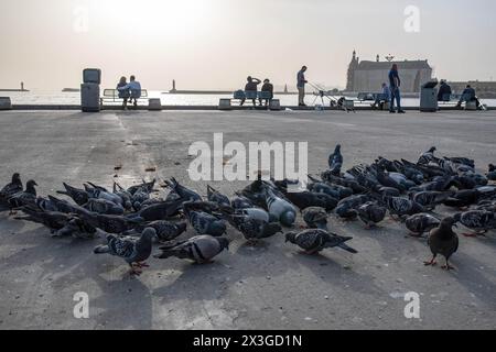 Istanbul, Türkei. April 2024. Vögel, die am Strand von Kadikoy mit dem Bahnhof Haydarpasa im Hintergrund beim Essen gesehen werden. Ein Überlauf des Wüstenstaubs betraf einen großen Teil der Türkei, einschließlich Istanbul, wo die Sichtverhältnisse und die Luftqualität abnahmen. (Credit Image: © Onur Dogman/SOPA Images via ZUMA Press Wire) NUR REDAKTIONELLE VERWENDUNG! Nicht für kommerzielle ZWECKE! Stockfoto