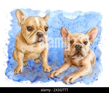 Zwei niedliche französische Bulldoggen Porträt auf blauem Hintergrund. Aquarellmalerei. Haustierkonzept. Stockfoto
