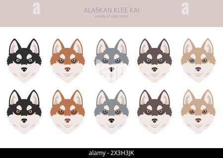 Alaska Klee Kai alle Farben Clipart. Verschiedene Mantelfarben eingestellt. Vektordarstellung Stock Vektor