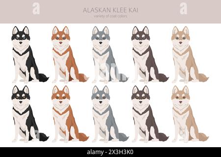Alaska Klee Kai alle Farben Clipart. Verschiedene Mantelfarben eingestellt. Vektordarstellung Stock Vektor