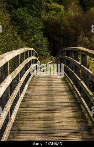 Eine kleine hölzerne Wanderbrücke überquert den Fluss Glalyn, Aflon Glyslyn, im Eryri-Nationalpark in Wales an einem sonnigen Tag Stockfoto