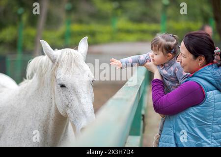 Das kleine Mädchen in den Armen der Mutter will das weiße Pferd berühren. Kleines Mädchen, das großes Pferd in der Natur berührt Stockfoto