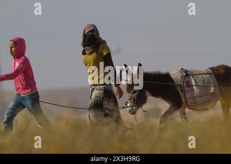 Beduinenmädchen laufen mit einem Esel in der Wüste Stockfoto