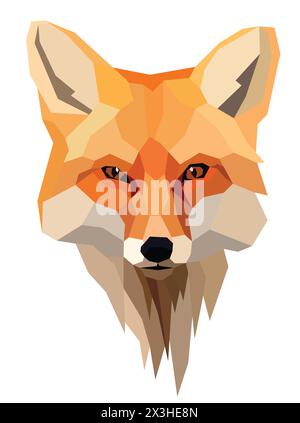 Farbfuchs auf weiß Stock Vektor