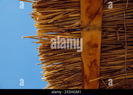 Trockenes Schilfdach, Strohdach, Palapa-Dach in blauem Himmel. Holzstrand Sonne Sommer Baldachin. Ansicht von unten Stockfoto