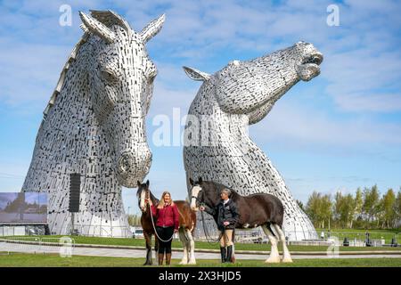 Kelly Stirling (links) und Amanda Merchant (rechts) mit den Clydesdale Pferden Iona und Maggie May während eines besonderen Veranstaltungstages zum 10. Jahrestag der Kelpies-Skulptur in Falkirk. Bilddatum: Samstag, 27. April 2024. Stockfoto