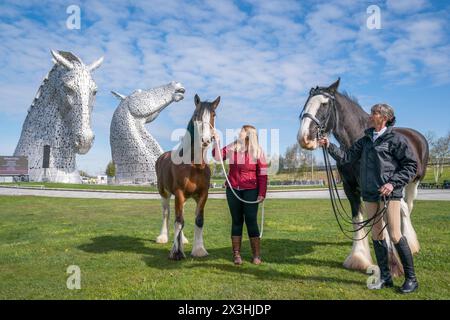 Kelly Stirling (links) und Amanda Merchant (rechts) mit den Clydesdale Pferden Iona und Maggie May während eines besonderen Veranstaltungstages zum 10. Jahrestag der Kelpies-Skulptur in Falkirk. Bilddatum: Samstag, 27. April 2024. Stockfoto