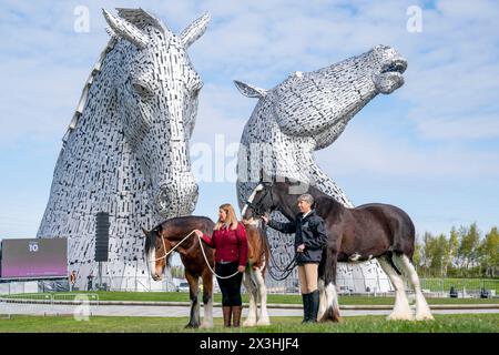 Kelly Stirling (links) und Amanda Merchant (rechts) mit den Clydesdale Pferden Iona und Maggie May während eines besonderen Veranstaltungstages zum 10. Jahrestag der Kelpies-Skulptur in Falkirk. Bilddatum: Samstag, 27. April 2024. Stockfoto