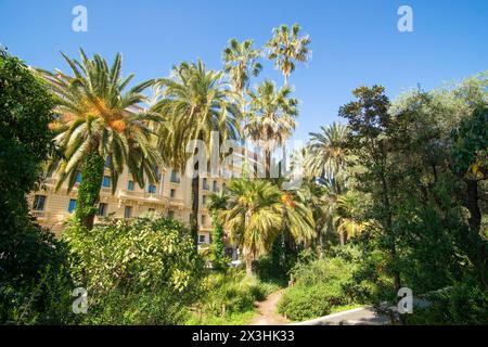 Palmen im Albert 1. Garten Stockfoto