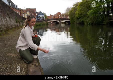 Chloe Peck, Koordinator von River Action Communities, nimmt eine Wasserprobe aus dem Fluss Wensum in der Mitte von Norwich am Quay Side, um auf E. coli zu testen Stockfoto