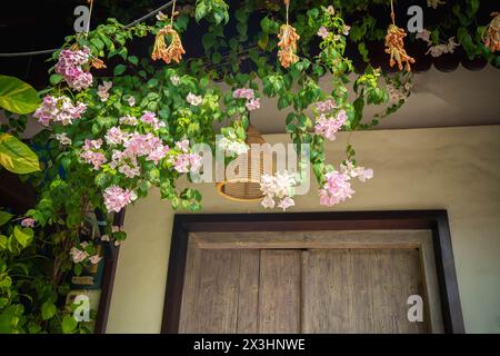 Weißes Fenster auf grüner Wand mit Kletterpflanze. Natürliche grüne Blattgras-Abdeckwand mit weiß Stockfoto