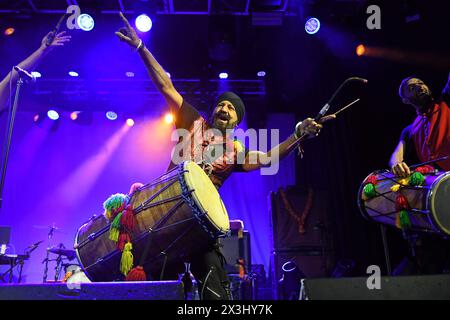 LONDON, ENGLAND - 26. APRIL: Johnny Kalsi von „The Dhol Foundation“ tritt am 26. April 2024 im Electric Ballroom, Camden in London auf.CAP/MAR ©MAR/Capital Pictures Credit: Phil Loftus/Alamy Live News Stockfoto