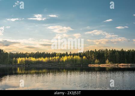 Schöne Landschaftsansicht auf den See im Wald Stockfoto