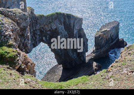 Green Bridge of Wales, Merrion, in der Nähe von Castlemartin, Pembrokeshire, Wales Stockfoto