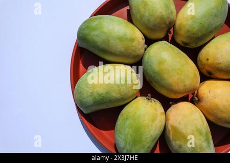 Köstliche Mangobrüchte auf Teller, King of Fruits Mango Kesar keri Sorte Stockfoto