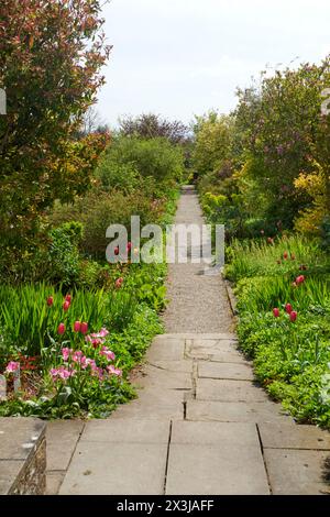 Friedlicher Gartenweg umgeben von üppigem Grün und leuchtenden rosa Tulpen an einem sonnigen Tag Stockfoto
