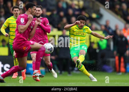 Gabriel Sara von Norwich City erzielt das erste Tor des Spiels während des Sky Bet Championship Matches in Carrow Road, Norwich. Bilddatum: Samstag, 27. April 2024. Stockfoto