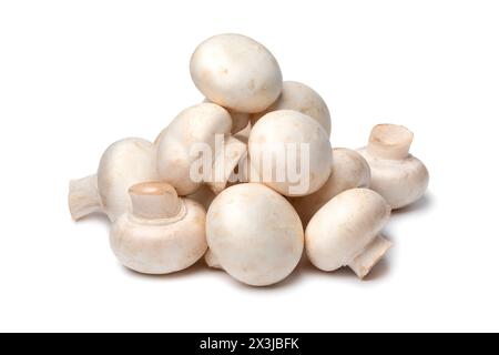 Haufen frischer ganzer Champignons, Knopfpilze, Nahaufnahme isoliert auf weißem Hintergrund Stockfoto
