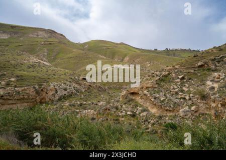 Die Hügel rund um den Prat-Fluss an der Grenze der Judäa-Wüste, Israel, werden im Winter grün mit Vegetation. Stockfoto