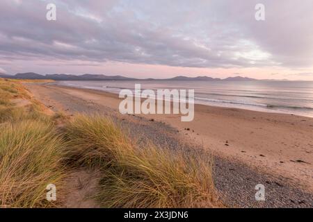 Newborough Warren Beach und Ynys Llanddwyn National Nature Reserve, Anglesey, North Wales, Vereinigtes Königreich Stockfoto