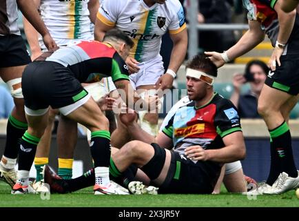 Twickenham. Vereinigtes Königreich. 27. April 2024. Premierminister Rugby. Harlequins V Northampton Saints. Twickenham Stadium. Twickenham. VERSUCHEN SIE ES. Stephan Lewies (Harlequins, Kapitän) wird gratuliert, nachdem er während des Rugbyspiels Harlequins V Northampton Saints Gallagher Premiership einen Versuch erzielt hat. Der große Sommerauftakt. Stockfoto