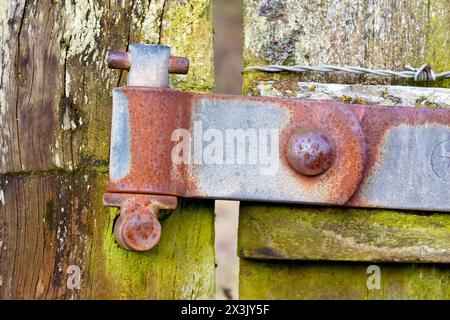 Nahaufnahme des rostenden Metallscharniers an einem klapprigen, alten Holztor. Stockfoto