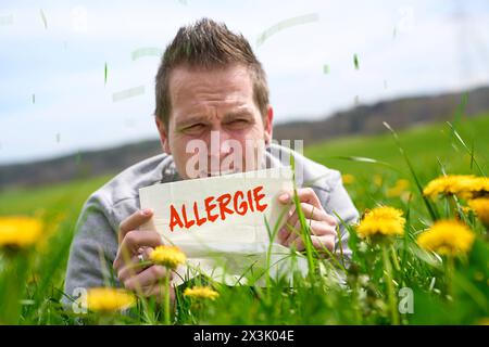 25. April 2024: Allergiker liegt auf einer grünen Wiese mit blühenden Blumen und niest in ein Taschentuch mit den Worten: Allergie. PHOTOMONTAGE *** Allergischer Mann liegt in einer grünen Wiese mit blühenden Blumen und Niest in einem Taschentuch mit dem Schriftzug: Allergie. FOTOMONTAGE Stockfoto