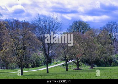 Lebhafte Frühlingsparkszene mit üppigen grünen Bäumen und einem gewundenen Pfad unter einem dramatischen blauen Himmel mit Wolken. Stockfoto