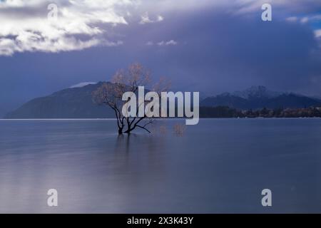 Das Meisterwerk der Natur: Erleben Sie die ruhige Schönheit des einsamen Wanaka-Baumes vor der Kulisse eines atemberaubenden Sonnenuntergangs am See. Stockfoto