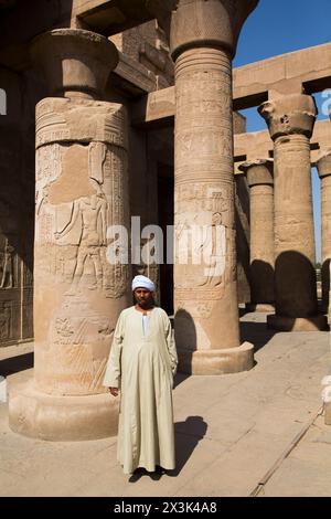 Hausmeister, Säulen mit Reliefs, Tempel von Sobek und Haroeris, Kom Ombo, Ägypten Stockfoto