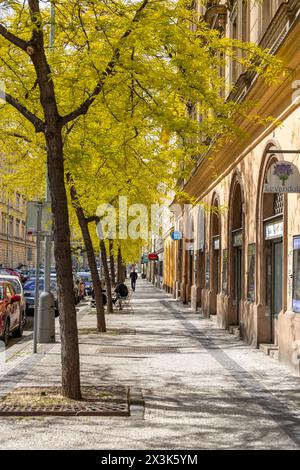 Sonnendurchfluteter Bürgersteig gesäumt von lebhaften grünen Bäumen im Frühling, Prag. Stockfoto