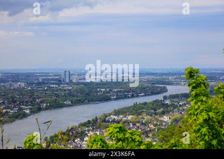 Blick vom Drachenfels, Berg im Siebengebirge über dem Rhein auf Bonn, Nordrhein-Westfalen, Deutschland *** Blick vom Drachenfels, Berg im Siebengebirge über dem Rhein Stockfoto