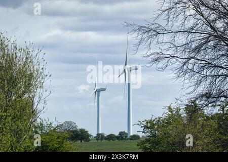 Windturbinen stehen hoch in einem üppig grünen Feld mit Bäumen unter bewölktem Himmel und zeigen erneuerbare Energiequellen. Stockfoto