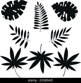 Sammlung von Silhouetten von tropischen Blättern, Monstera und Palmen, isoliert auf weißem Hintergrund Stock Vektor
