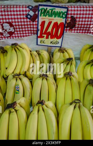 Santiago, Chile - 26. November 2023: Bananen im Mercado La Vega im Zentrum von Santiago Stockfoto